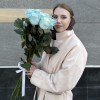 7 радужных бело-голубых роз 70 см