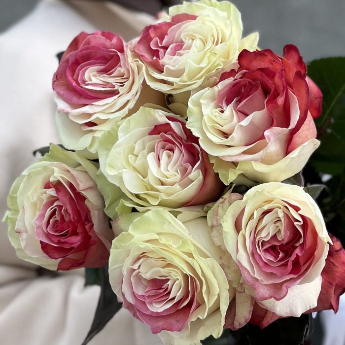 7 радужных бело-малиновых роз 70 см