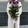 7 радужных бело - сине - красных роз 70 см