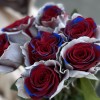 7 радужных бело - сине - красных роз 70 см