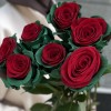 7 радужных красно - зеленых роз 70 см