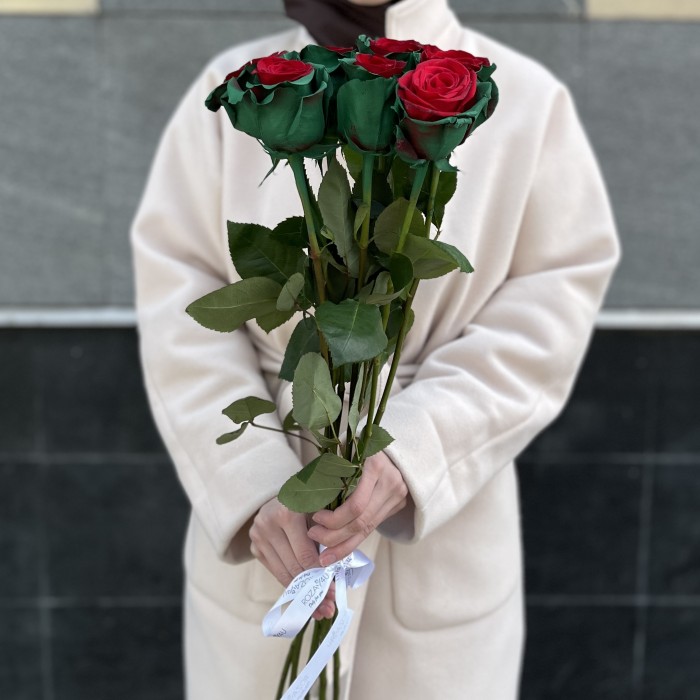 7 радужных красно - зеленых роз 70 см