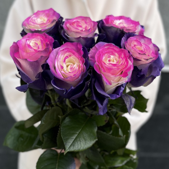 7 радужных фиолетово - розовых роз 70 см