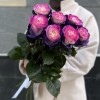 7 радужных фиолетово - розовых роз 70 см