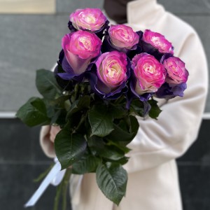 7 радужных фиолетово - розовых роз 70 см 7 радужных фиолетово - розовых роз 70 см