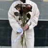 7 радужных коричнево - розовых роз 50 см