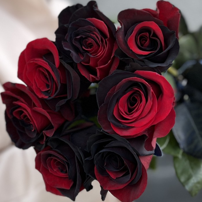 7 радужных красно-черных роз 70 см