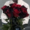 7 радужных красно-черных роз 70 см