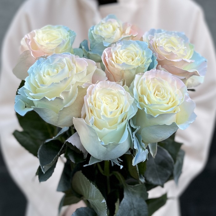 7 радужных розово-бело-голубых роз 60 см