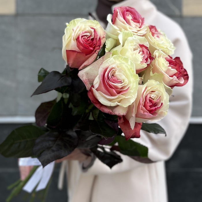 Бело-малиновая радужная роза 70 см