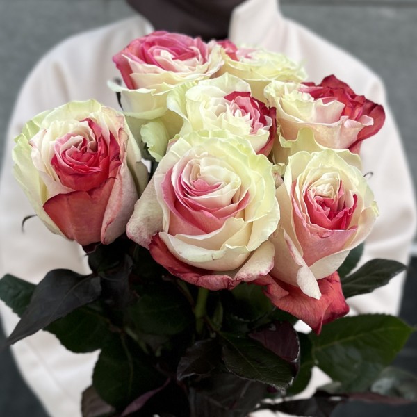 Бело-малиновая радужная роза 70 см