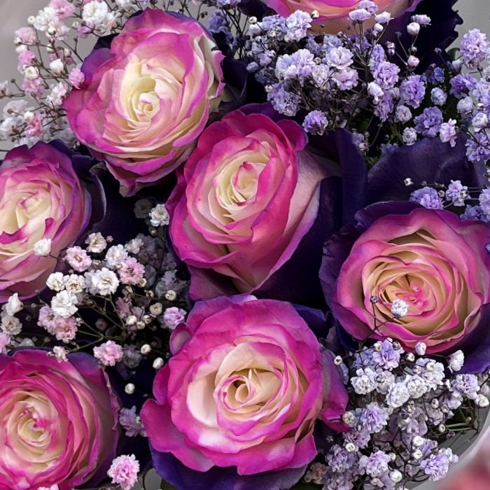 Букет фиолетово-розовых роз с гипсофилой