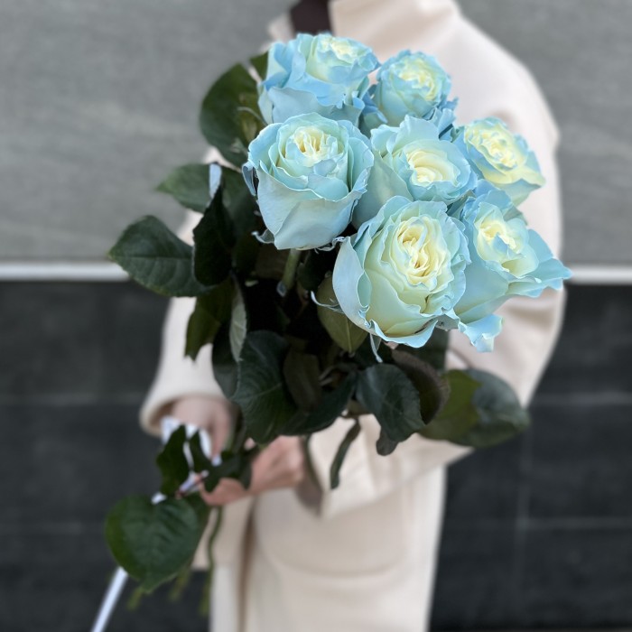 Радужная бело-голубая роза 70 см