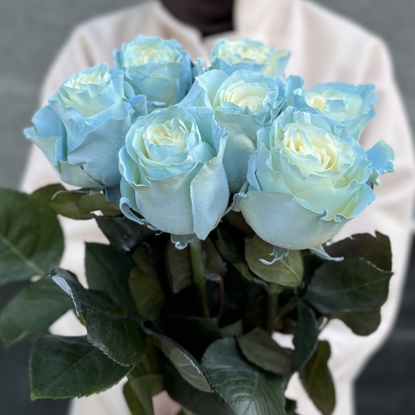 Радужная бело-голубая роза 70 см