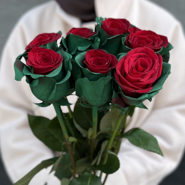 Радужная красно - зеленая роза 70 см