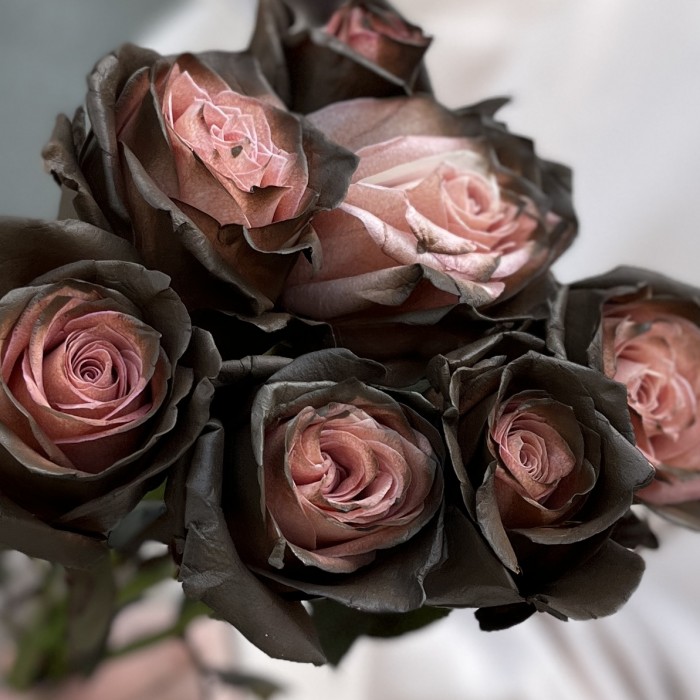 Радужная коричнево - розовая роза 50 см