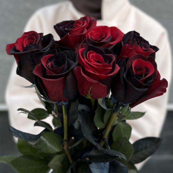 Радужная крано-черная роза 70 см