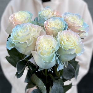 Радужная розово-бело-голубая роза 60 см