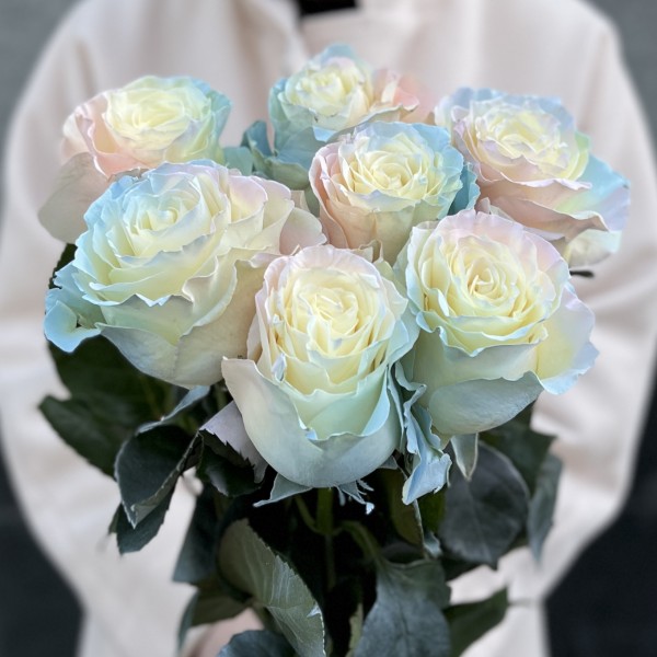 Радужная розово-бело-голубая роза 60 см