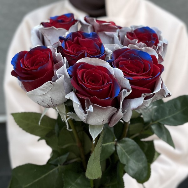 Радужная бело - сине - красная роза 70 см