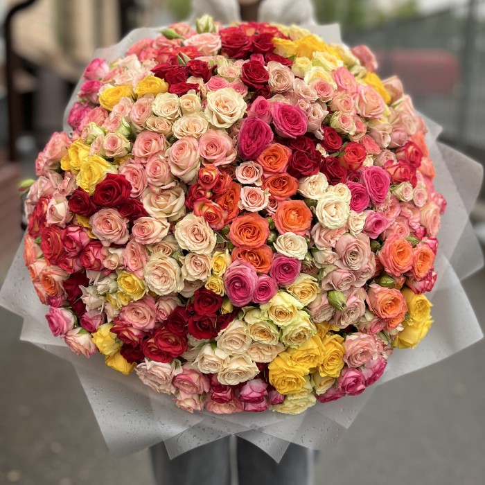 101 кустовая Роза MIX