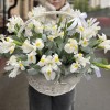 25 белых ирисов в корзине