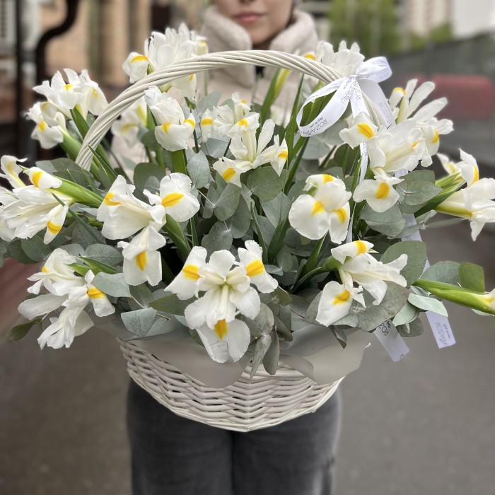 25 белых ирисов в корзине