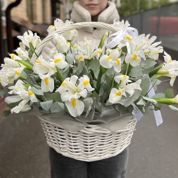25 белых ирисов в корзине