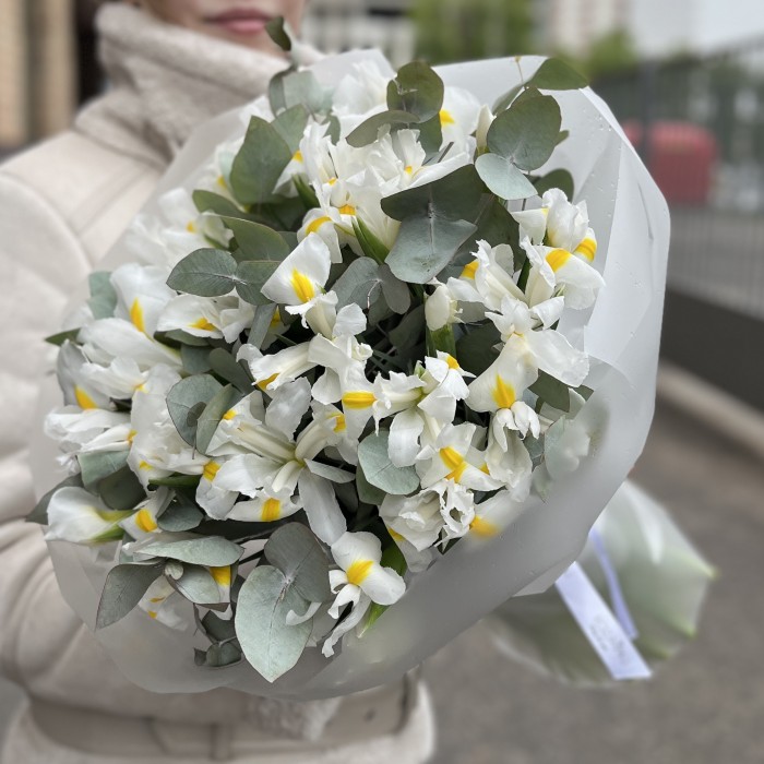 25 белых ирисов с эвкалиптом