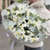 25 белых ирисов с эвкалиптом