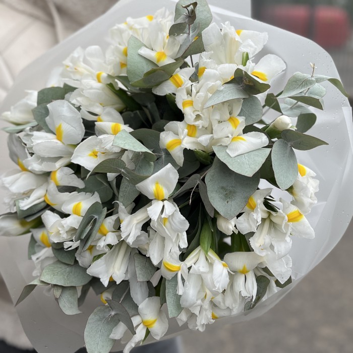 25 белых ирисов с эвкалиптом