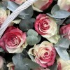 25 радужных бело-красных роз в корзине