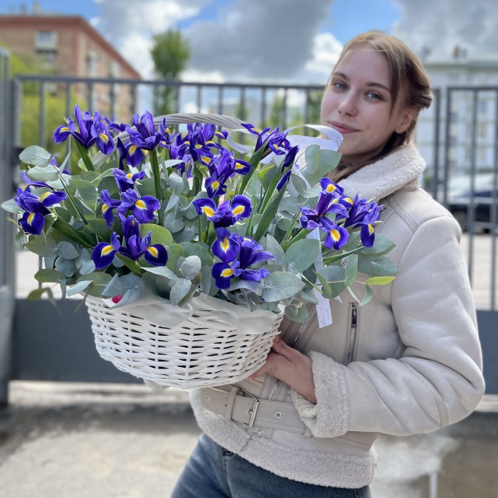 25 синих ирисов в корзине