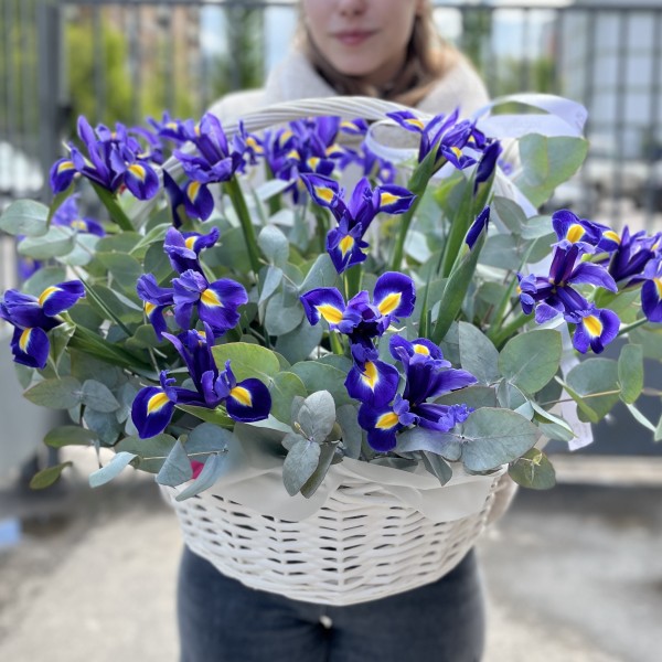 25 синих ирисов в корзине