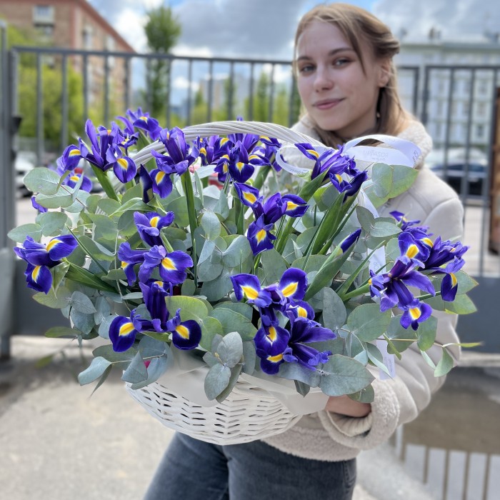 25 синих ирисов в корзине