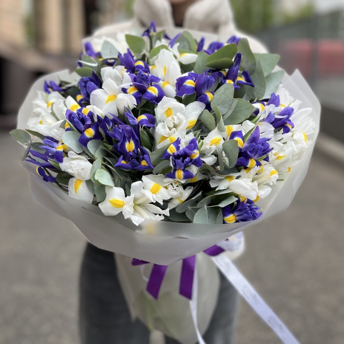 51 синий и белый ирис с эвкалиптом