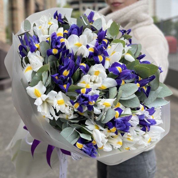 51 синий и белый ирис с эвкалиптом