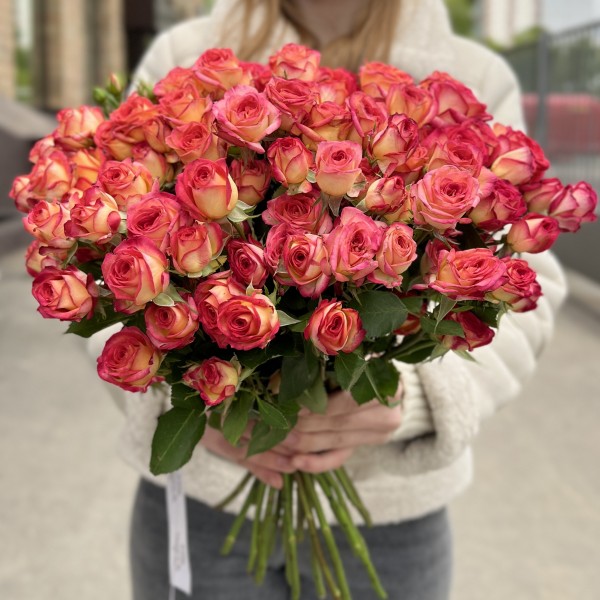 Кустовая роза Саммер Денс 40 см