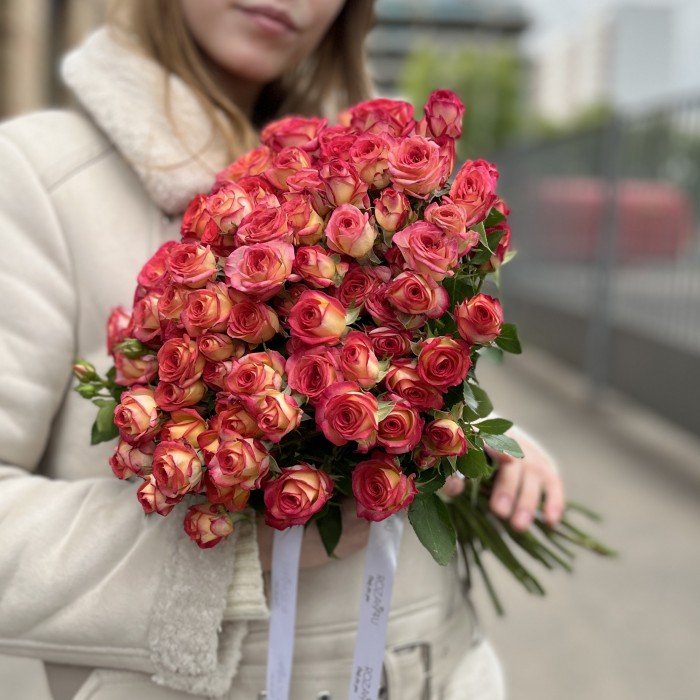 Кустовая роза Саммер Денс 40 см