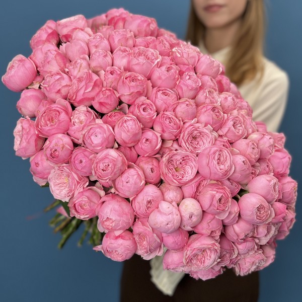 101 кустовая пионовидная Роза Мансфилд Пинк Парк 40 см