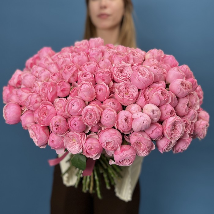 101 кустовая пионовидная Роза Мансфилд Пинк Парк 40 см