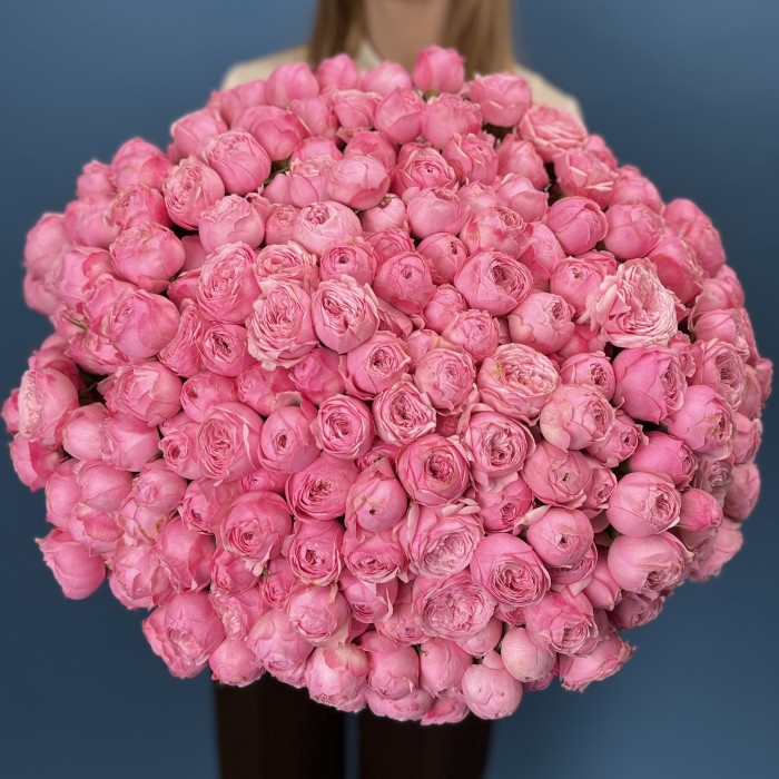 101 кустовая пионовидная Роза Мансфилд Пинк Парк 40 см