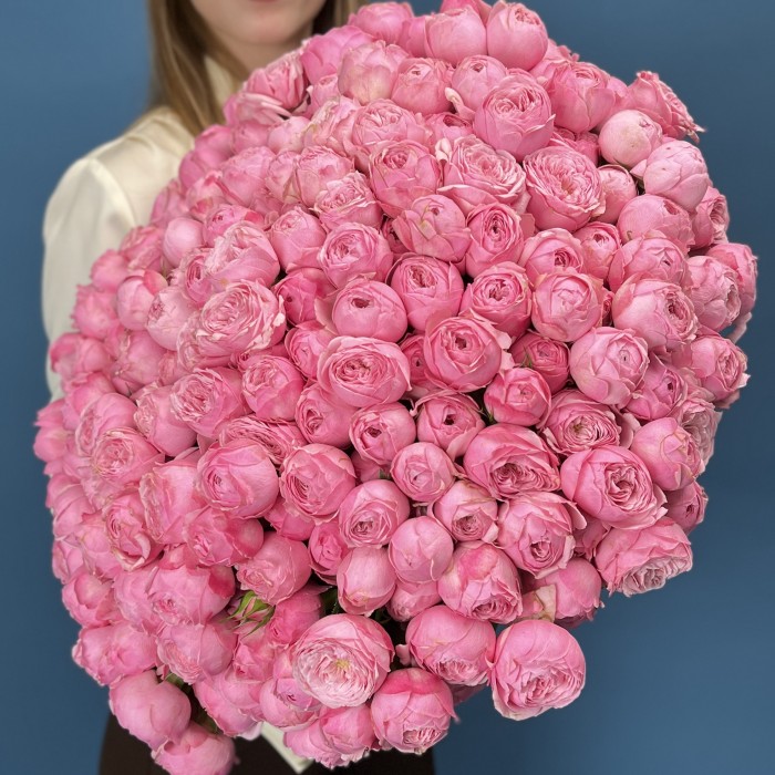 101 кустовая пионовидная Роза Мансфилд Пинк Парк 40 см