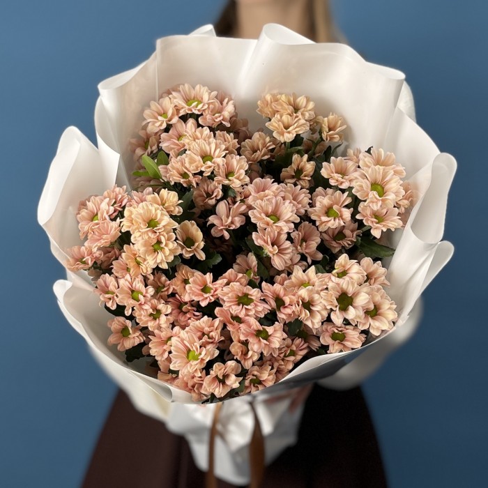 11 кустовых хризантем Капуцино