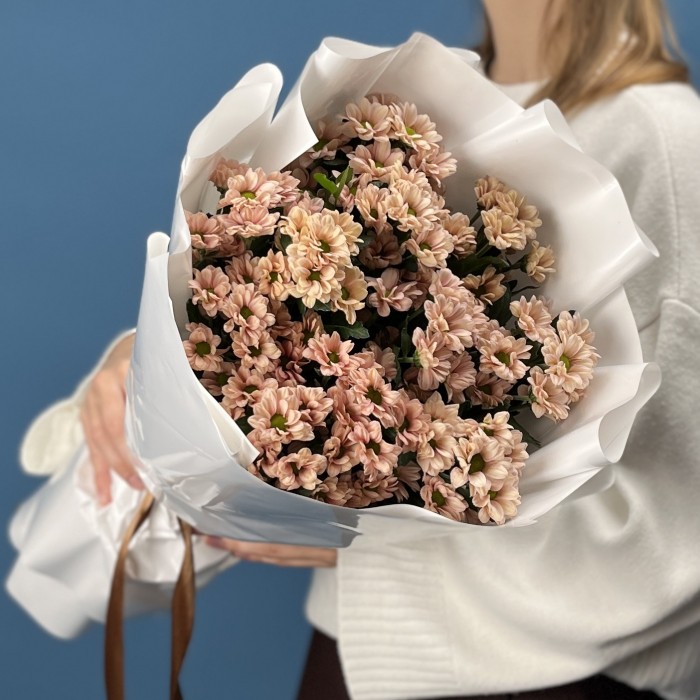 11 кустовых хризантем Капуцино