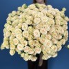 25 кустовых роз Тринити 80 см