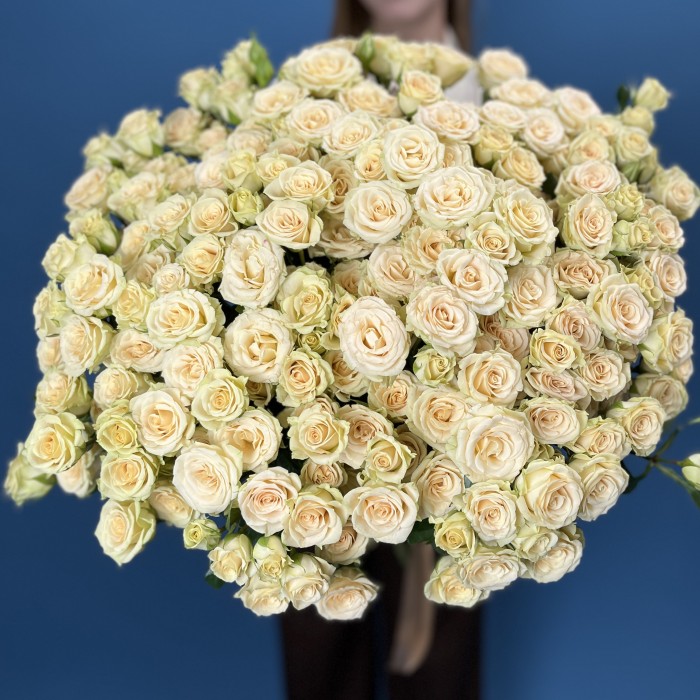 25 кустовых роз Тринити 80 см