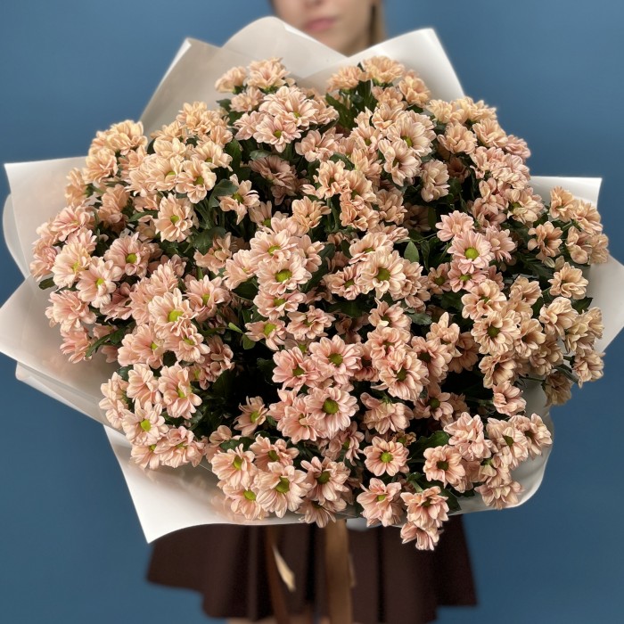 25 кустовых хризантем Капуцино