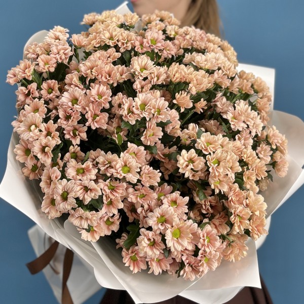 25 кустовых хризантем Капуцино