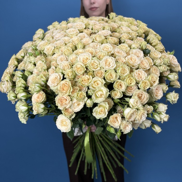 51 кустовая Роза Тринити 80 см